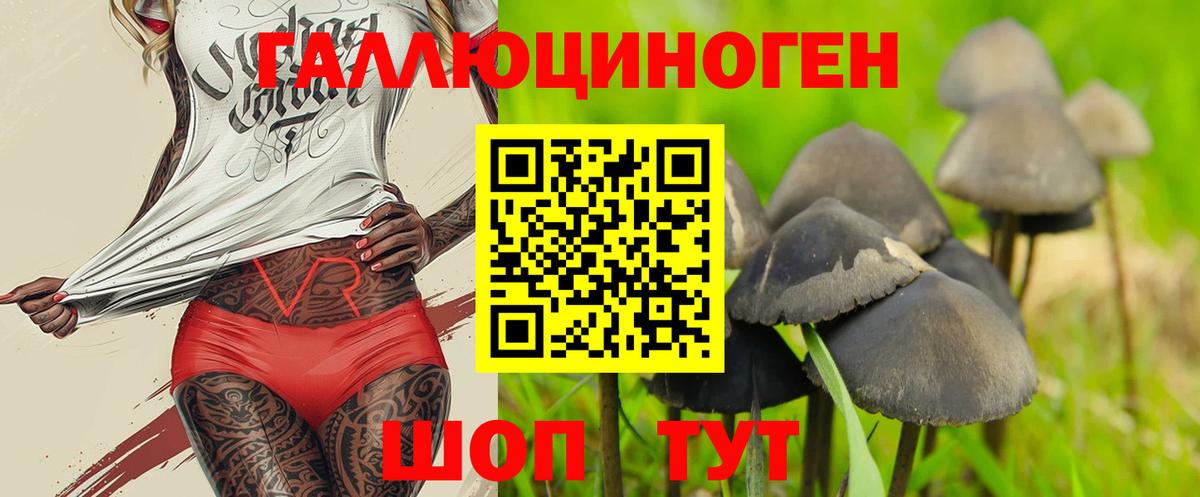 Галлюциногенные грибы мухоморы  наркотики  Владивосток  Вход с VPN 